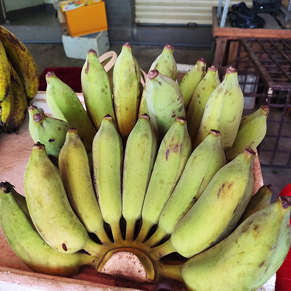 Chuối sứ Bến Tre